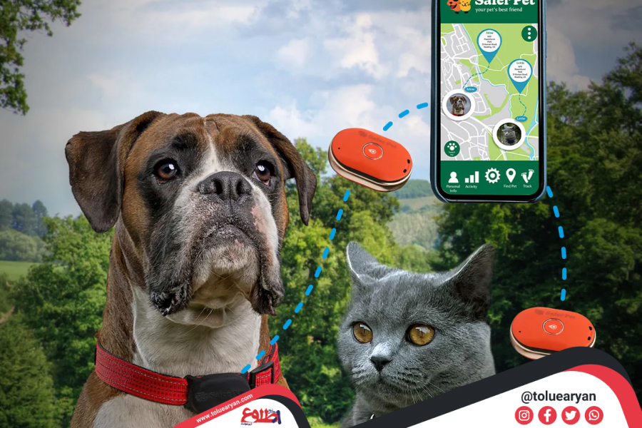 مراحل ساخت ردیاب حیوانات